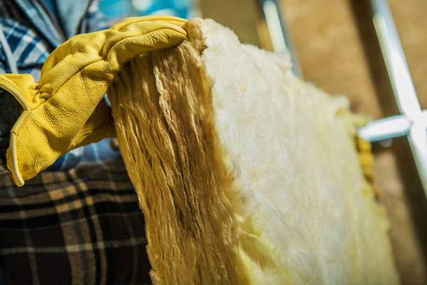Best Geographic-Specific Insulation Services in Hollister, MO