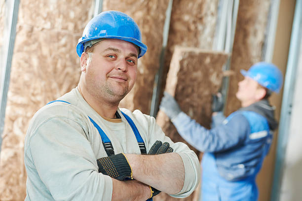 Best DIY Insulation Kits and Guidance in Hollister, MO