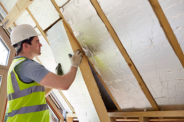 Trusted Hollister, MO Insulation Contractor Experts