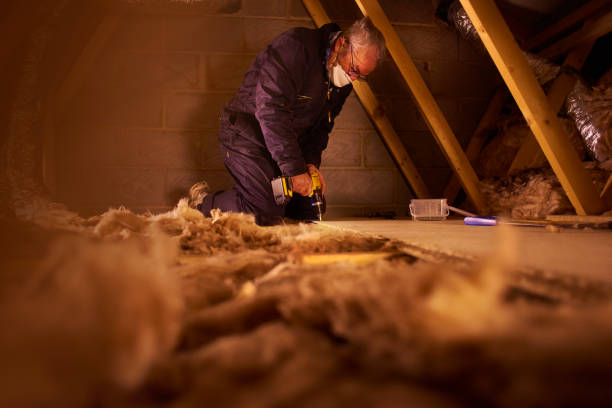 Best Residential Insulation in Hollister, MO
